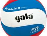 Volejbalový míč PRO-LINE (12 panelů)