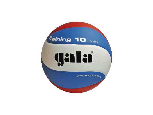Volejbalový míč TRAINING 12 panelů 