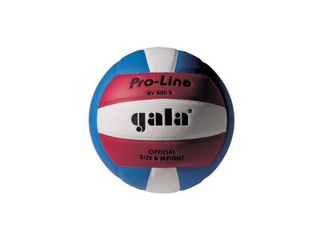 Volejbalový míč MINI  PRO-LINE -18 panelů 
