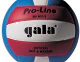 Volejbalový míč MINI  PRO-LINE -18 panelů 