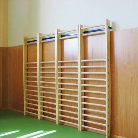 žebřiny